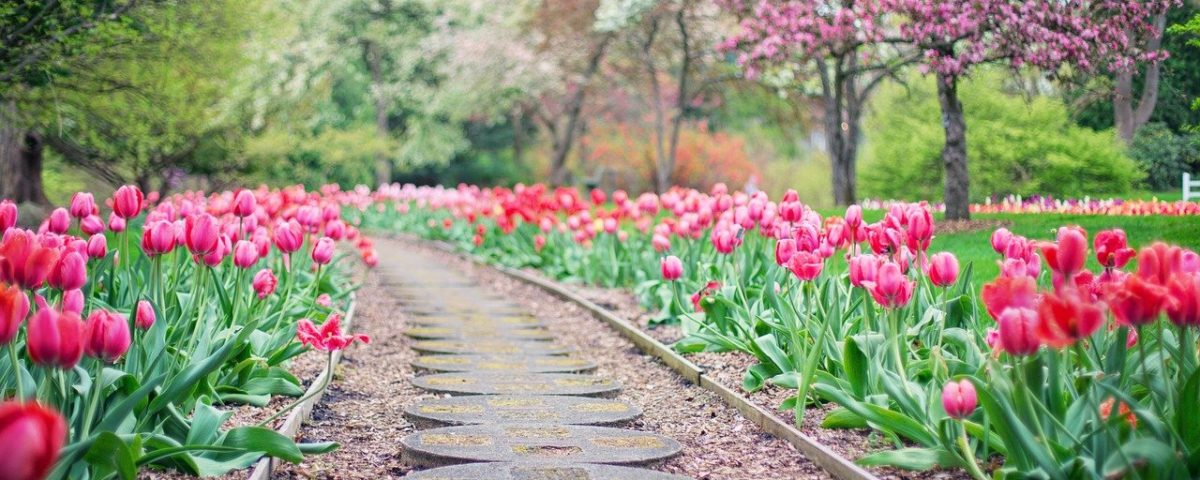 Jardin